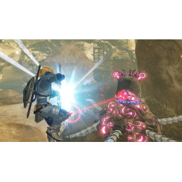 Hyrule Warriors L'ere du Fléau Switch