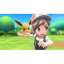 Pokémon Let's Go Evoli Switch