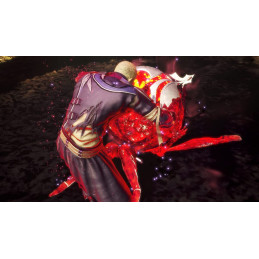 Final Fantasy Origin Stranger of Paradise PS5