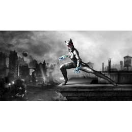 Batman Arkham City Armored Edition Wii U