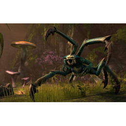 The Elder Scrolls Online : Tamriel Unlimited Xbox One